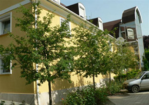 „A” épület, parkoló